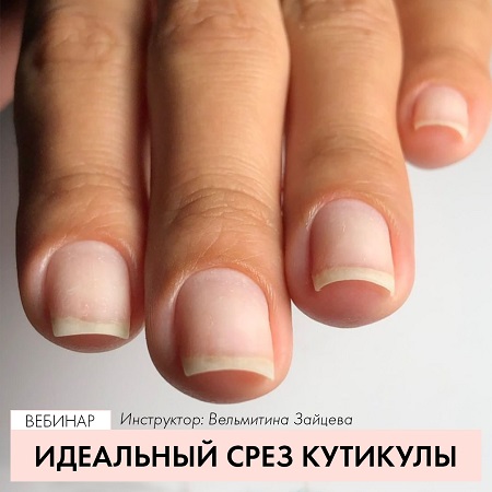 Vebinar-idealnyy-srez.jpg