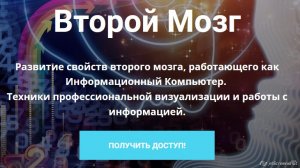 Второй мозг [Александр Шурин].jpg
